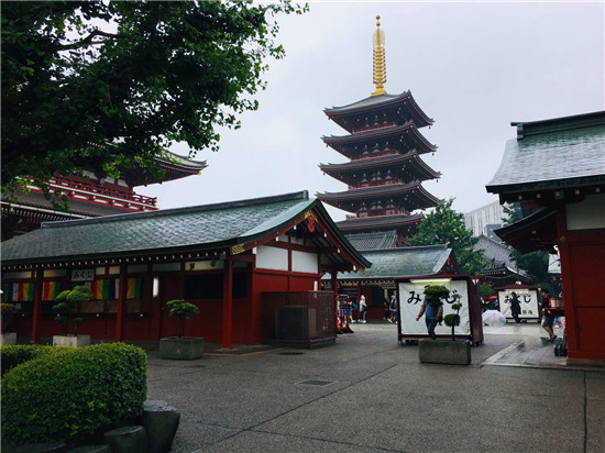 上市旅行社被列入失信人员,旅游董事长被查