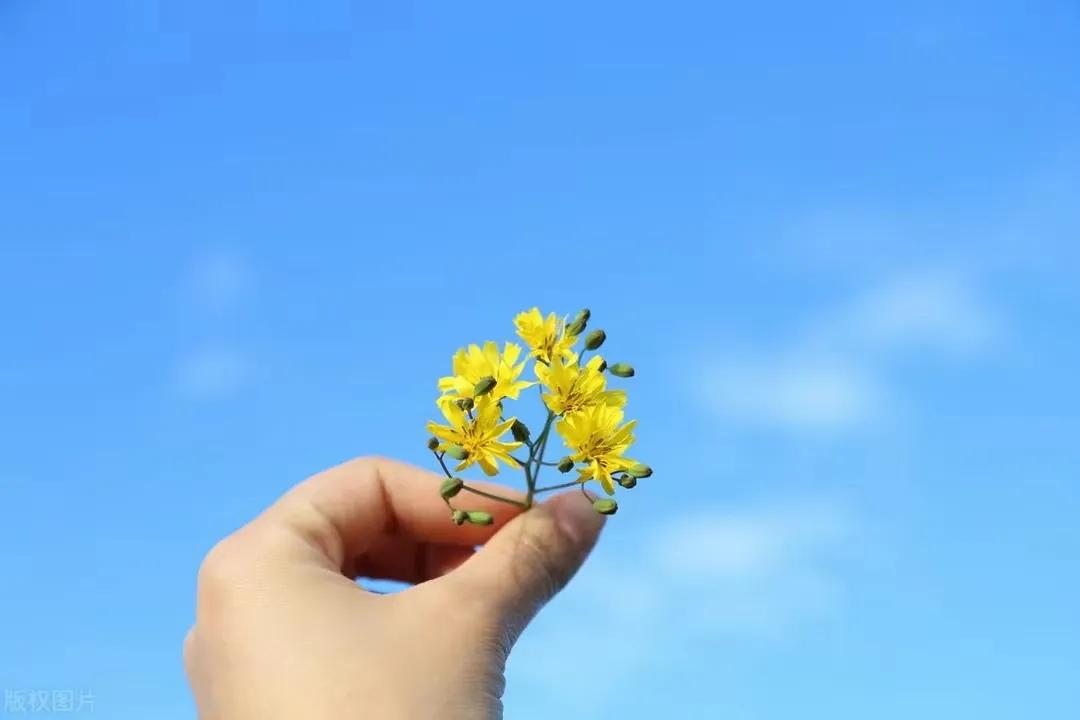现在迷茫走好脚下的路文案,迷茫时先走好脚下的路