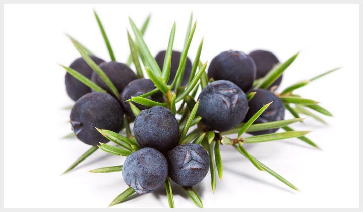 孙叔公科普｜手足菌（脚气）问题，为何有这么多偏方？