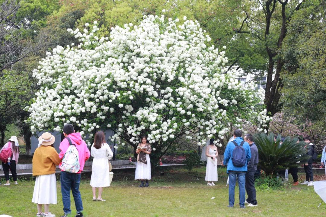 销量整体回暖,销量也在逐渐回暖