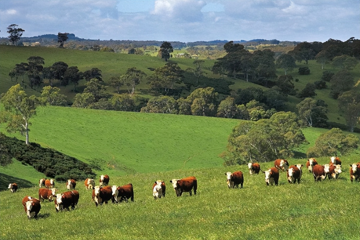 中国制造在美国的影响,中国制造在全球有多厉害