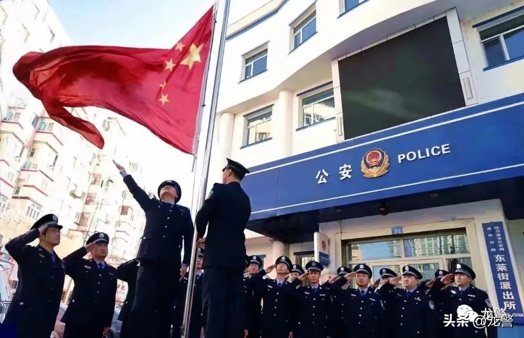 龙警十年，让高质量发展底色更亮