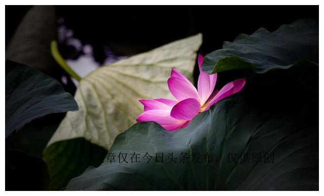 得了ED的人该如何调整好自己的心态，恢复到积极健康的生活状态？