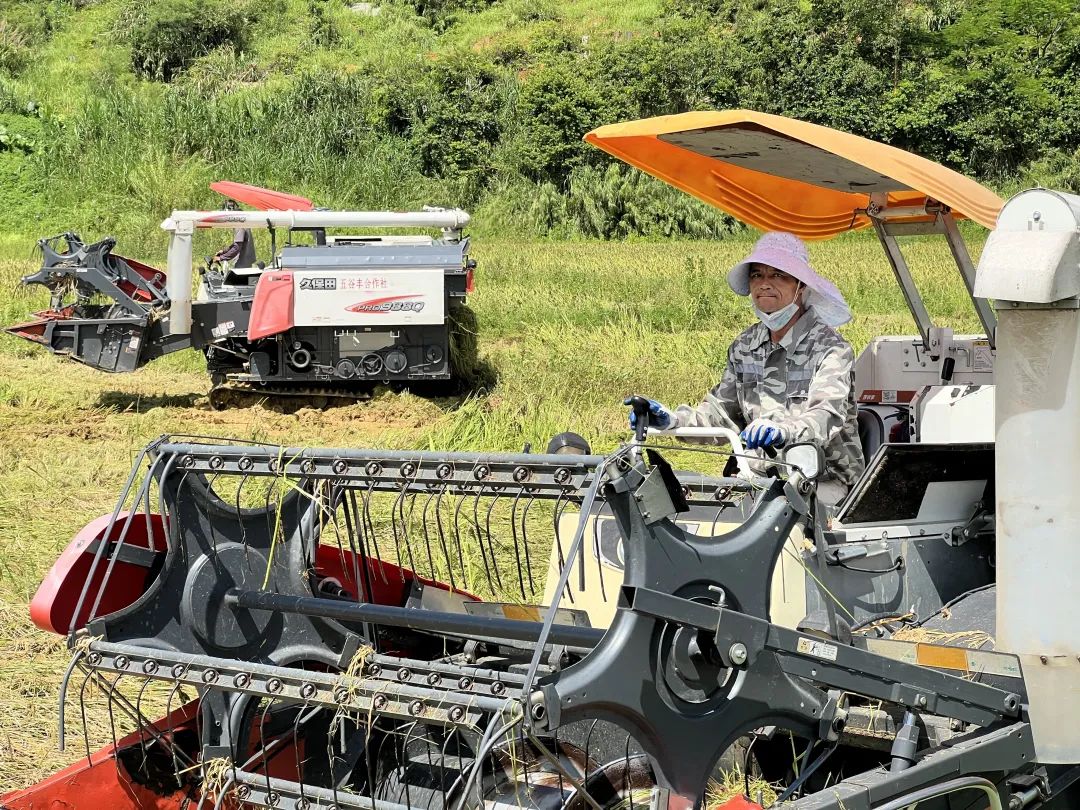 智库观察丨新兴县天堂镇如何从“农业大镇”变“农业强镇”