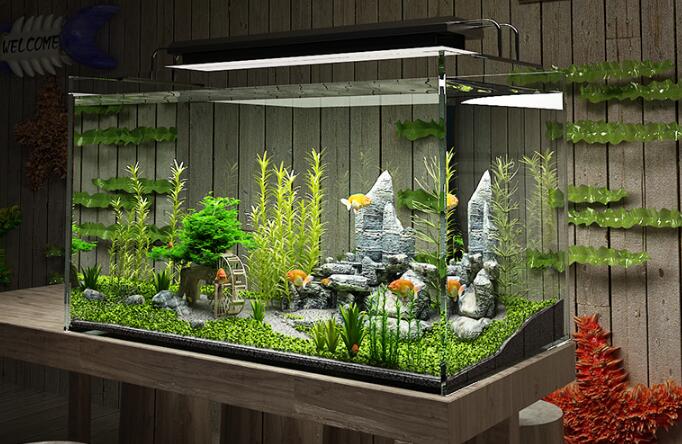 养乌龟新手推荐,龟用品