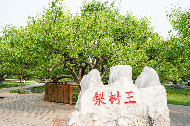 宿州两日游,宿州旅游攻略三日游