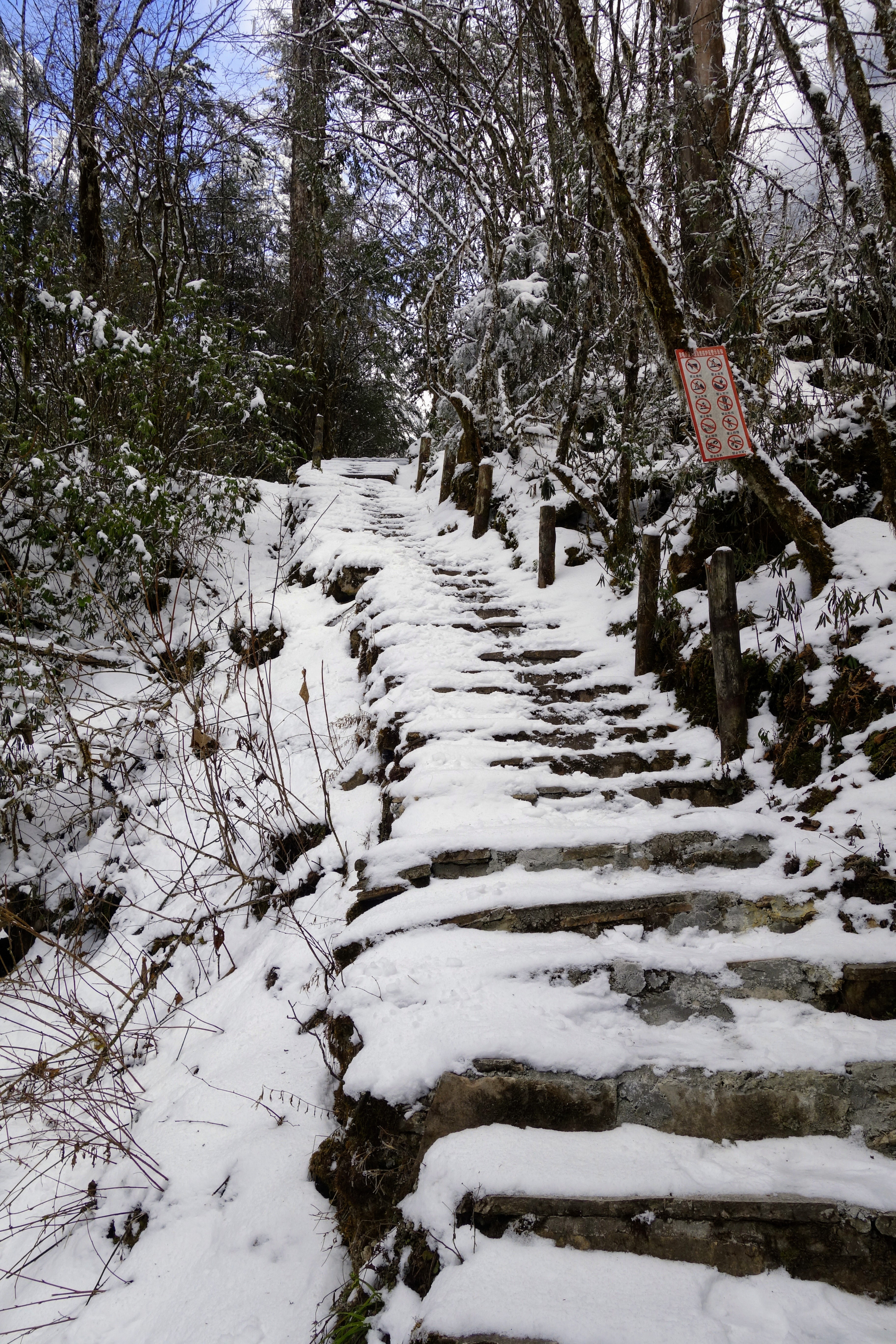 川西圣境游玩攻略,甘孜燕子沟攻略