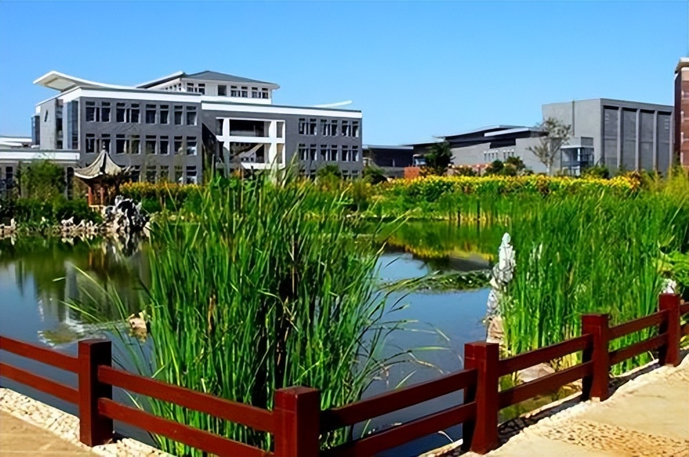 云南高校最新排名,云南各大高校排名