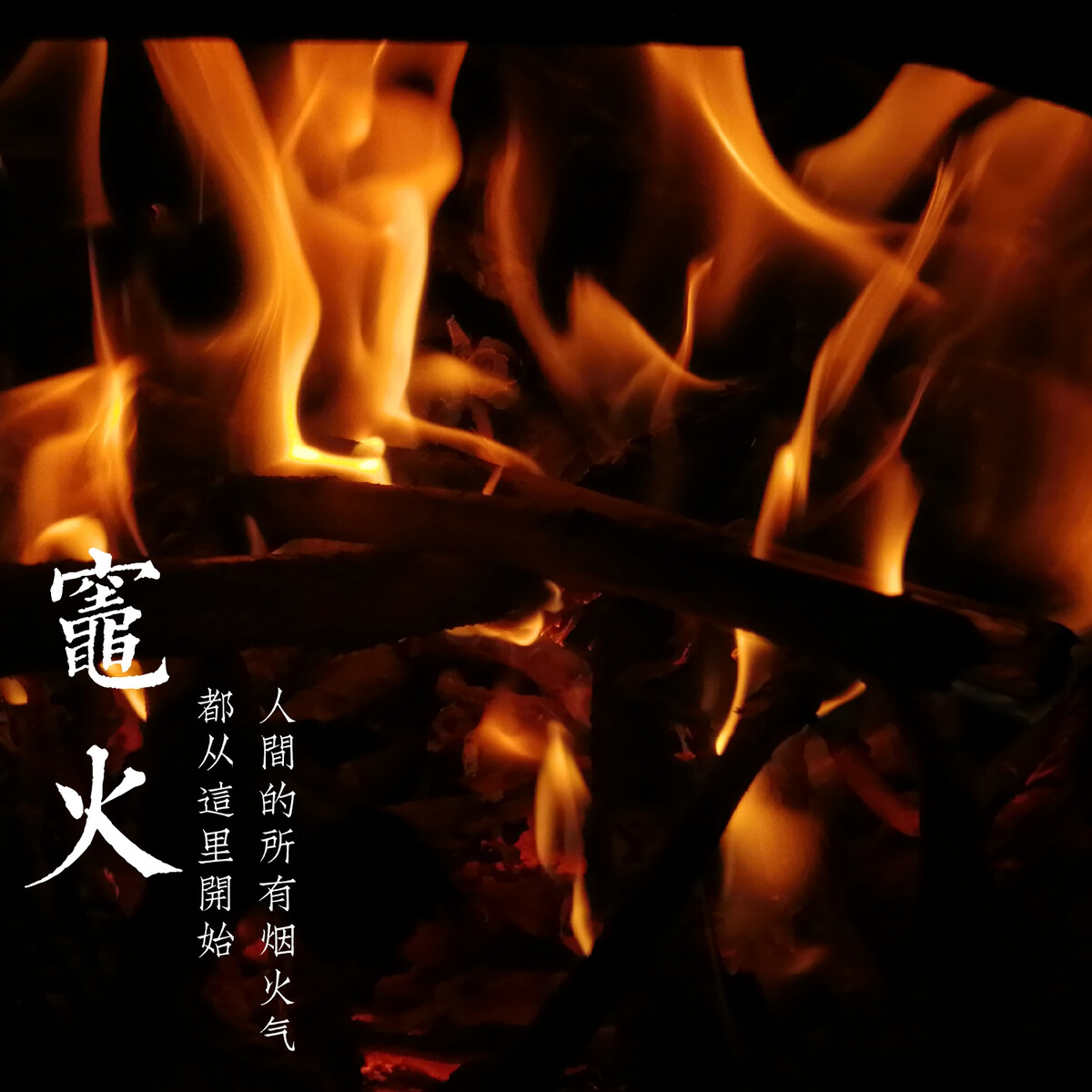 抵御世间的寒冷,我们一起抵挡人世间的严寒