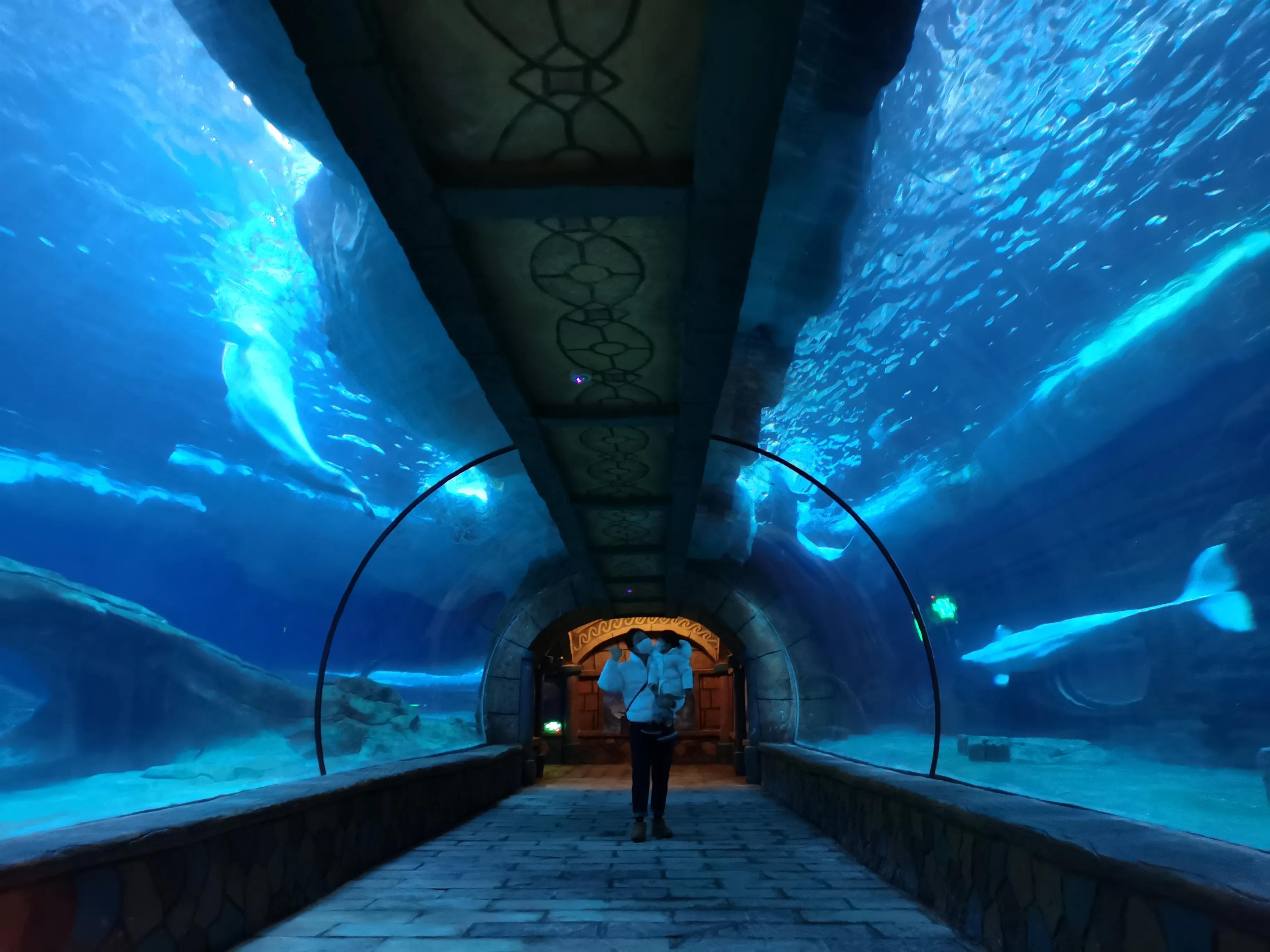 杭州野生动物园一个月宝宝游玩,海洋动物馆亲子游杭州