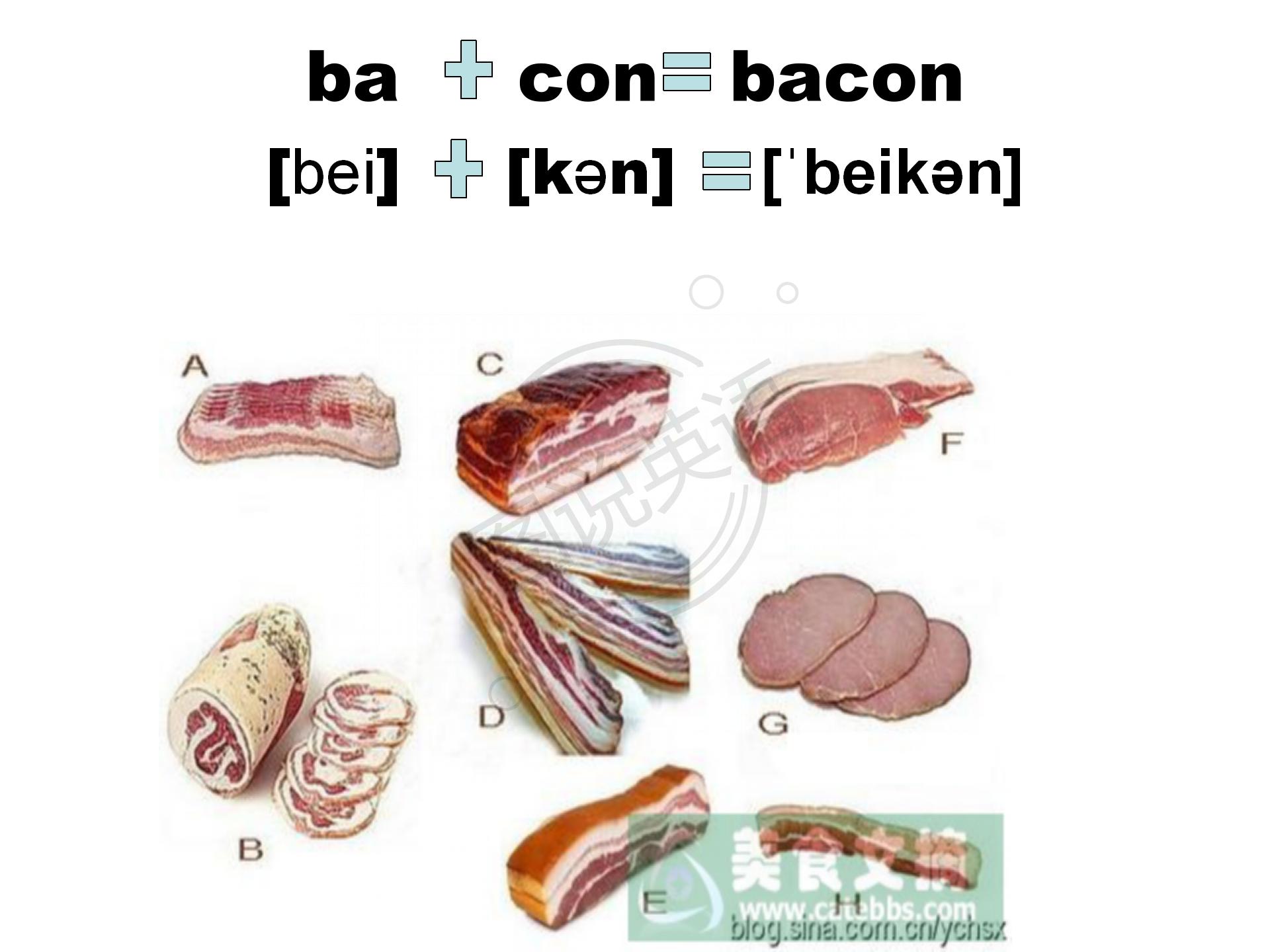 如何快速默写48个国际音标,音标背诵最快的方法