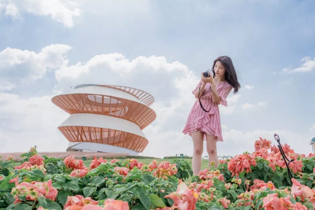 深圳最好玩的十个地方,深圳光明小镇欢乐田园好玩吗