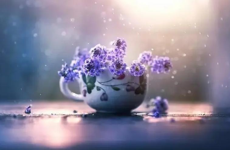 脾气不好的人财运如何,社会上赚钱难怎么办