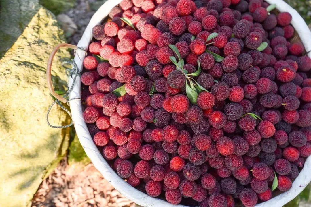 火热的周边游喂饱了本地生活,划算的周边游