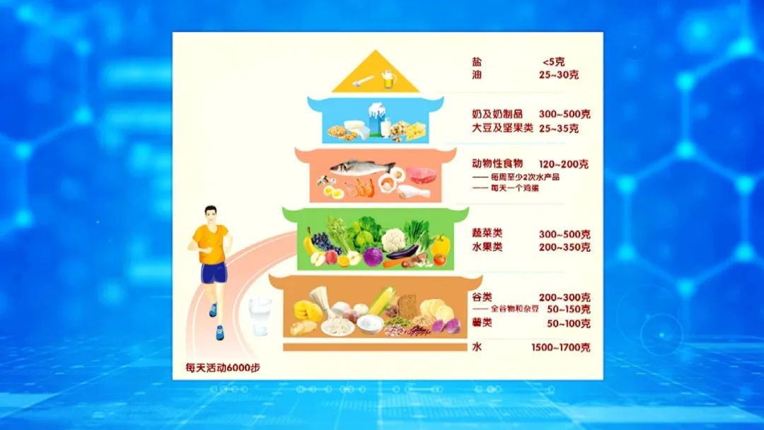 不吃淀粉和糖类食物可以减肥吗,减肥不吃淀粉和糖吃什么