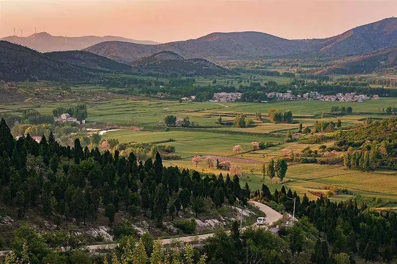 安徽宿州埇桥区今天的信息,安徽省宿州市埇桥区简介