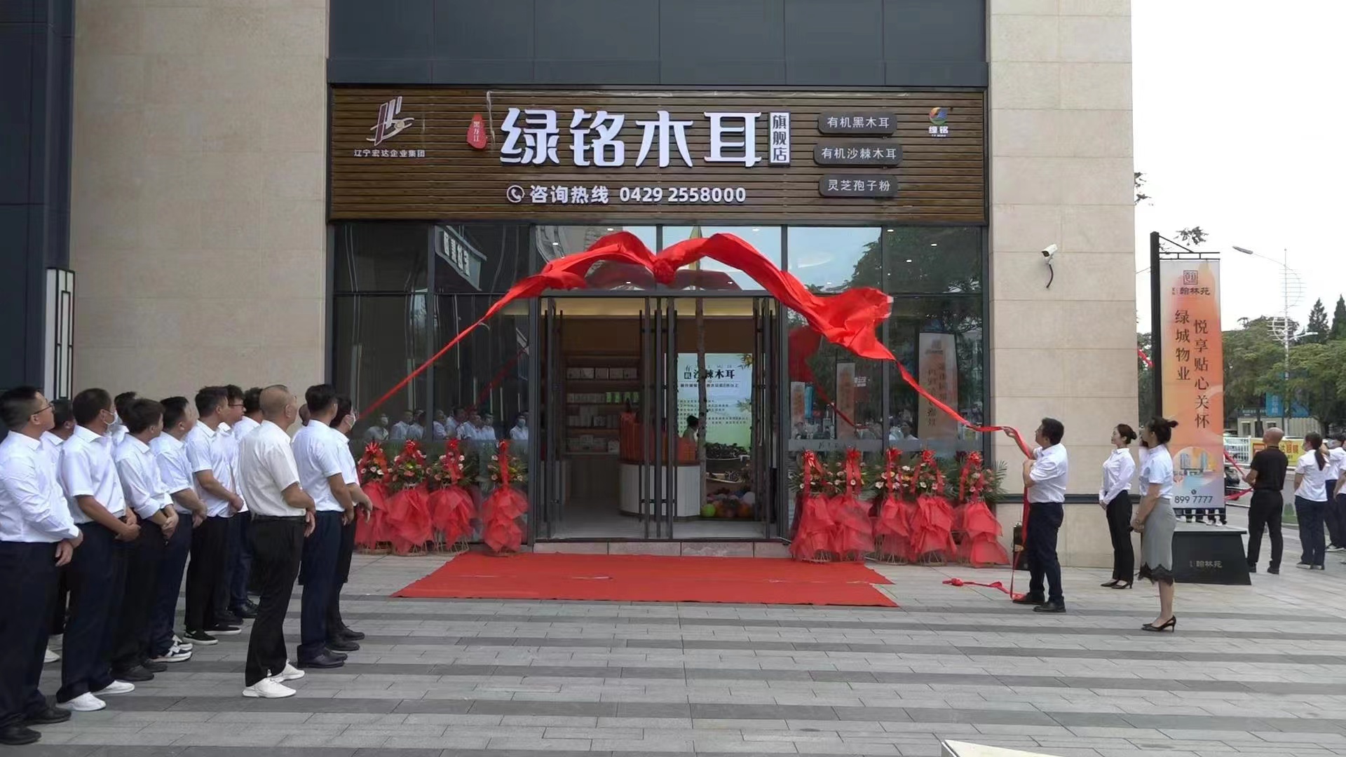 富硒沙棘木耳,有机沙棘木耳