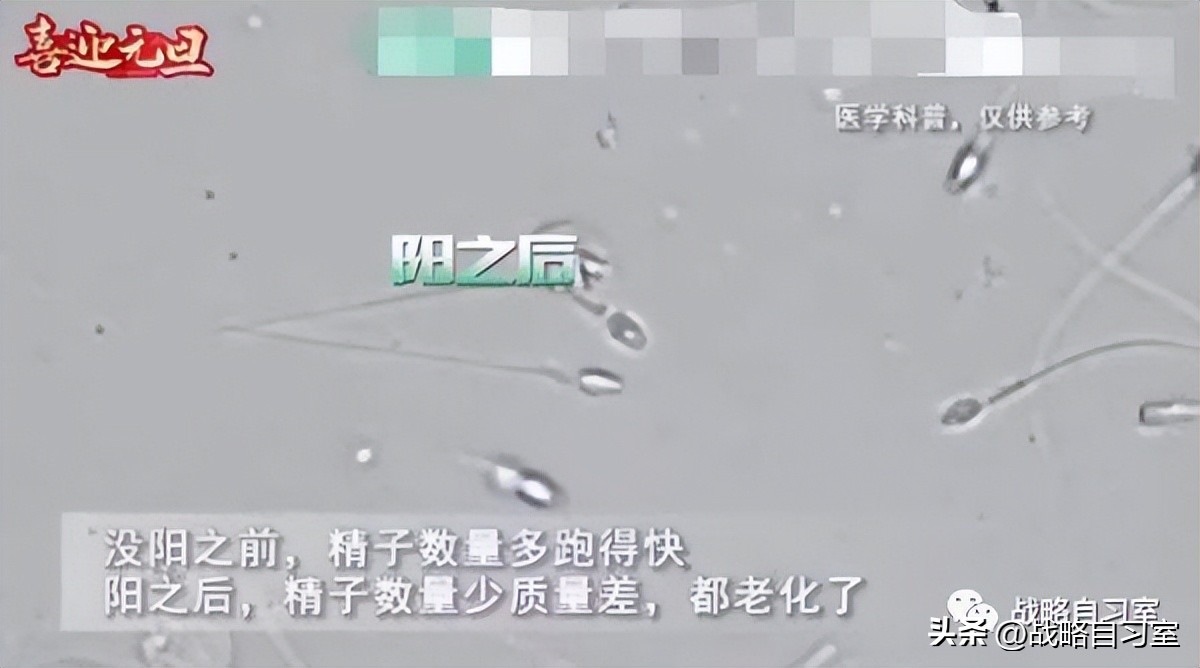 十二生肖出生率排名,十二生肖猪出生年份对照表