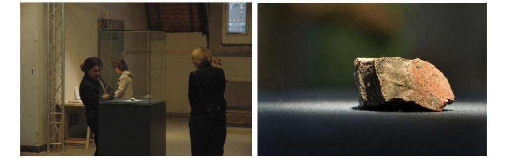 马斯克登月是真是假,马斯克评登月