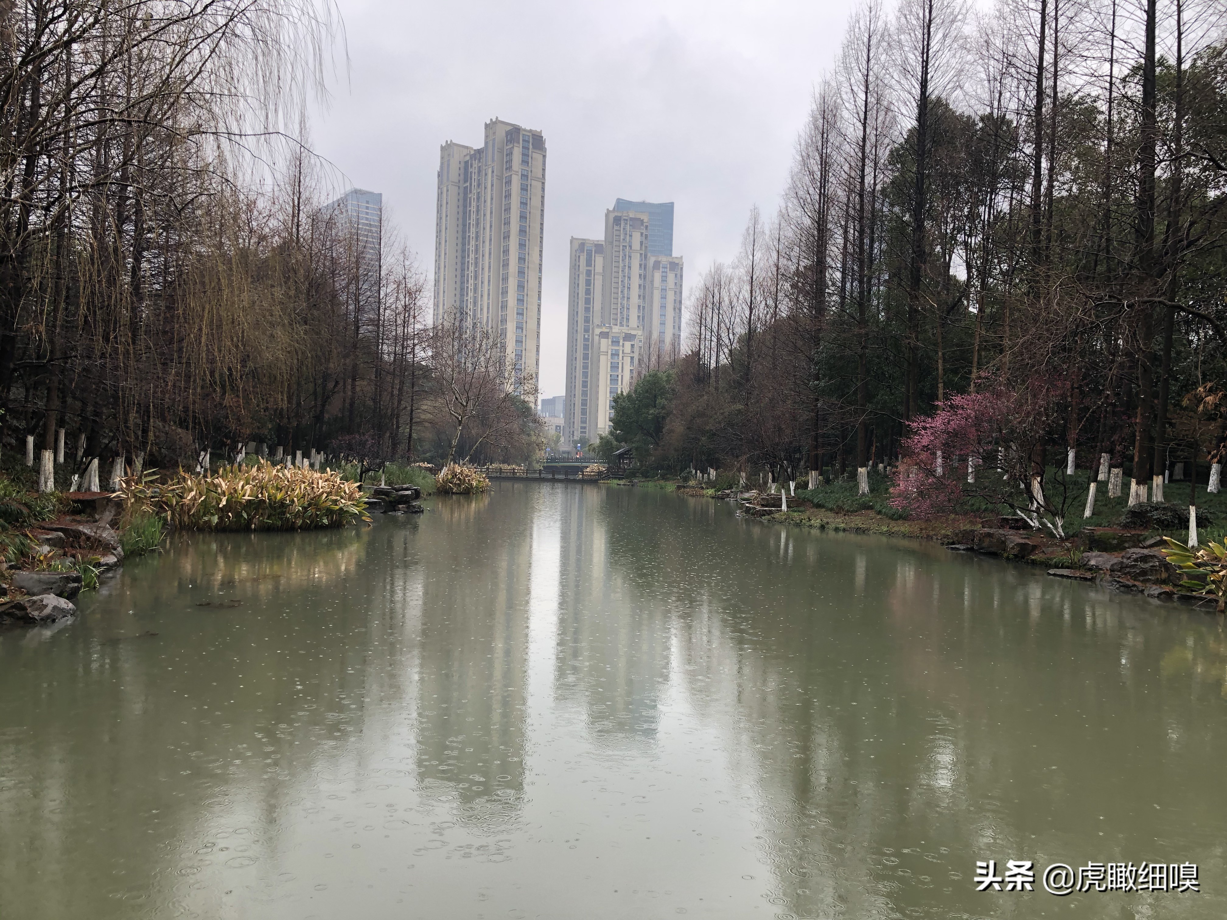 临平水景公园秋天,临平公园当地知名度最高的公园