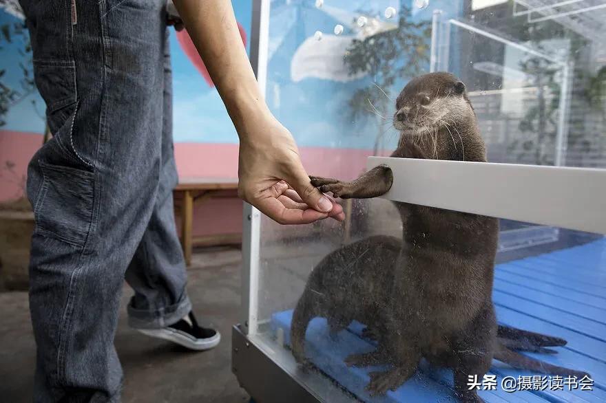 2018年度最佳摄影照片,创造出令人惊叹的自然摄影照片