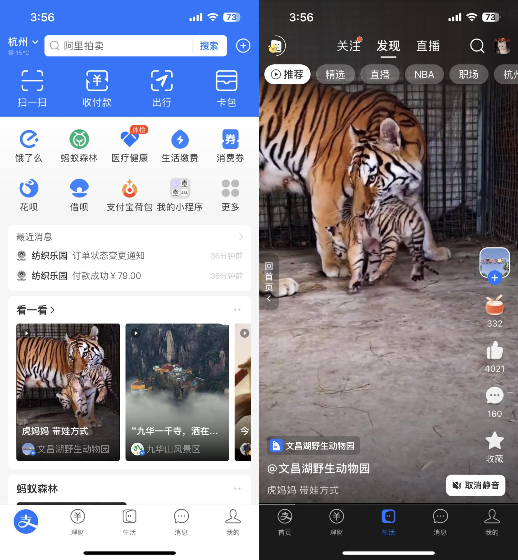 支付宝生活号怎么开通收益,支付宝生活号里面的商品怎么入驻