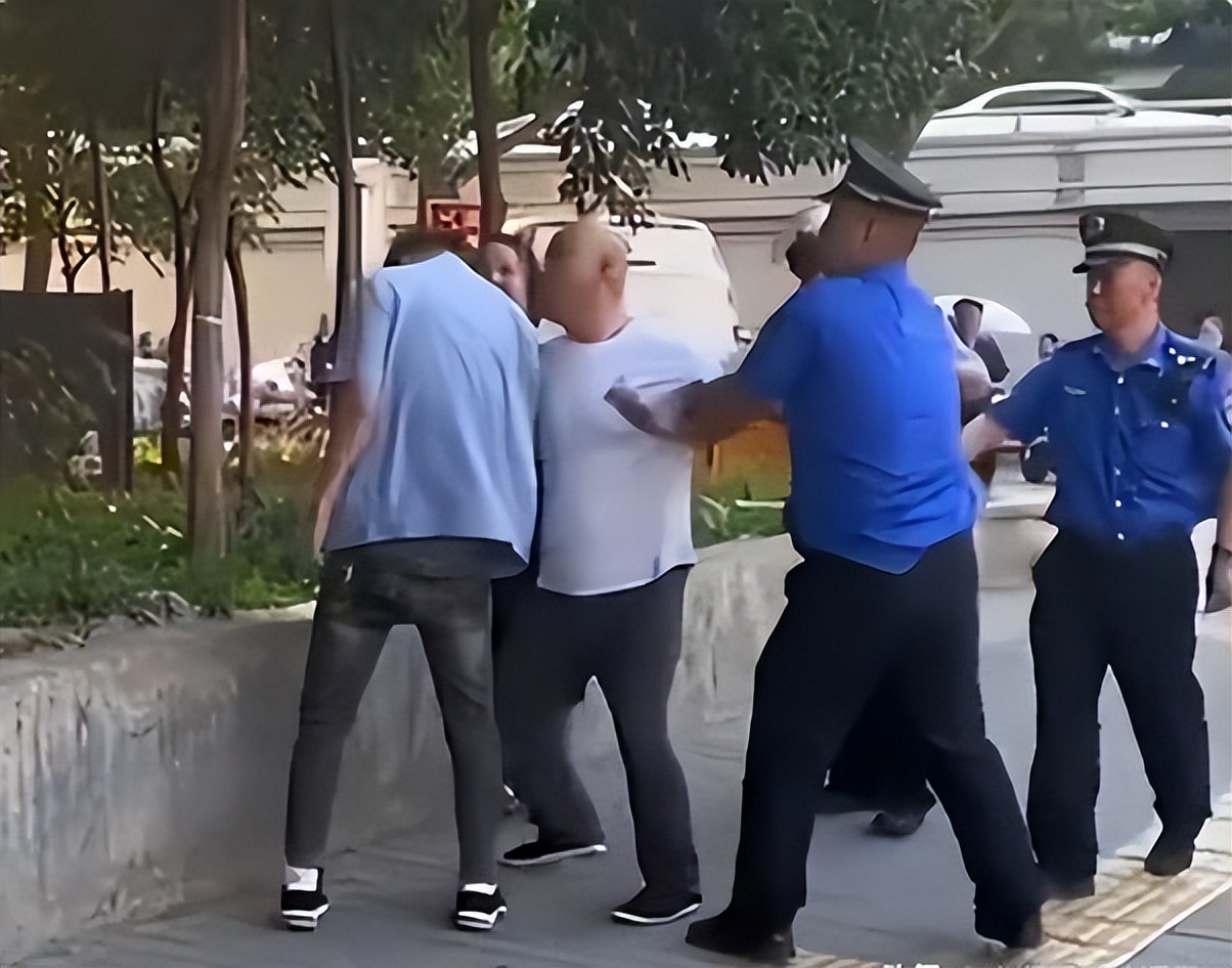 大快人心的事件,陕西打人事件处理结果