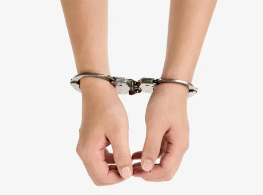 斑鸠在巢穴边不走说明什么,野斑鸠可以喂昆虫吗