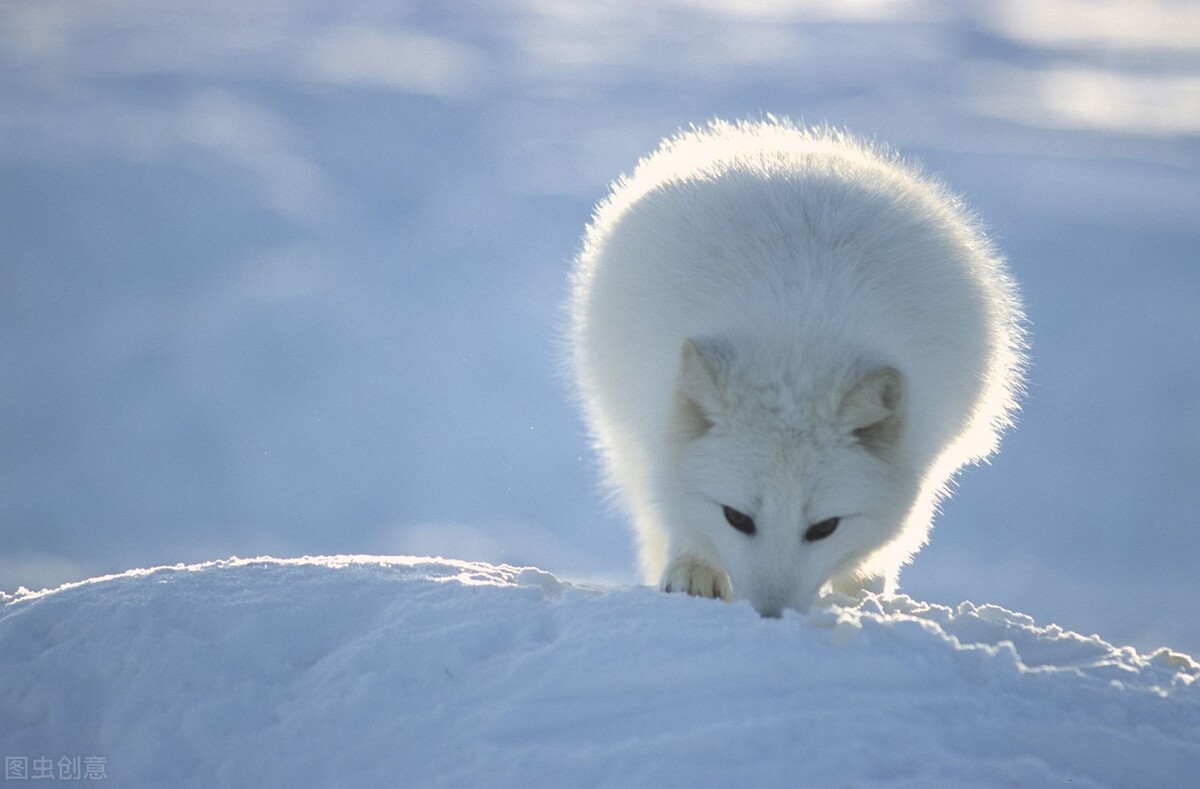 关注人性的感言,关注人性