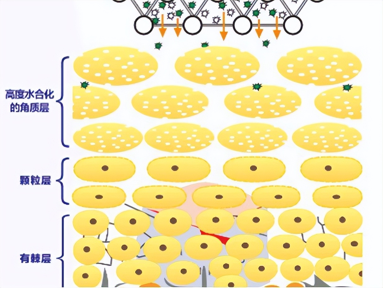 女生毛孔粗大有黑头用哪款面膜,清洁面膜推荐祛黑头收缩毛孔平价