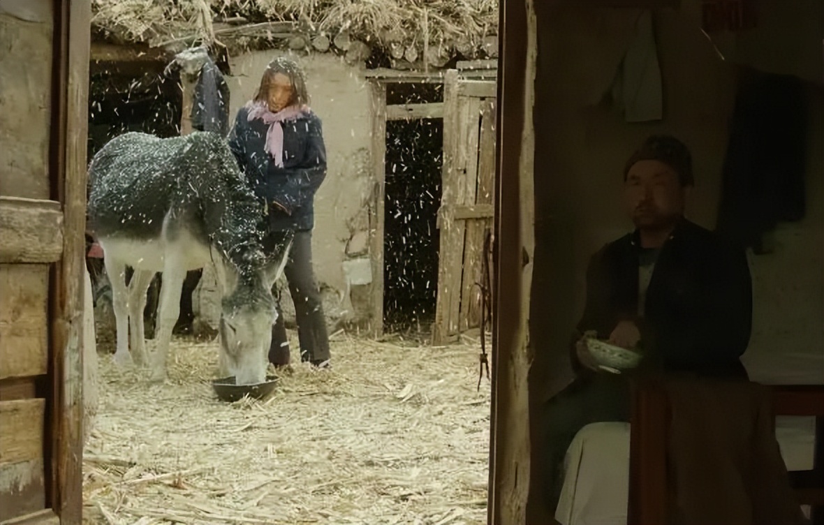 隐入尘烟票房破9000万,隐入尘烟票房破7000万