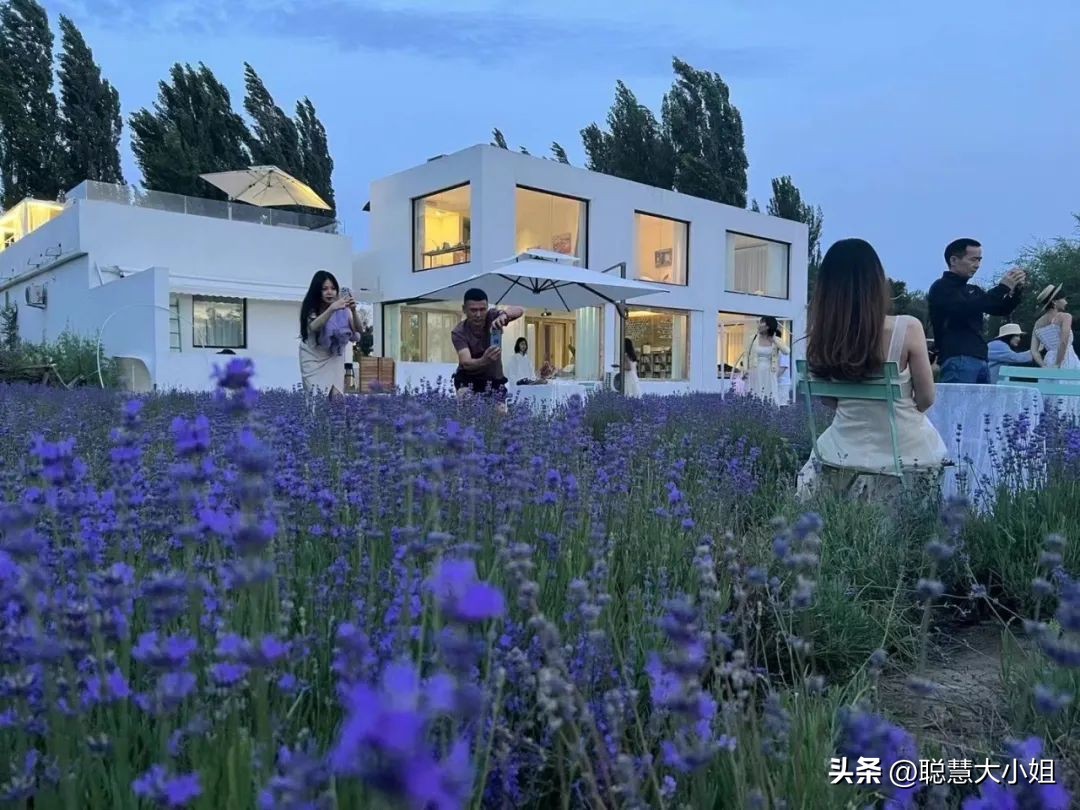 *疆新**，美到封神！配得上“她”的民宿有多少？