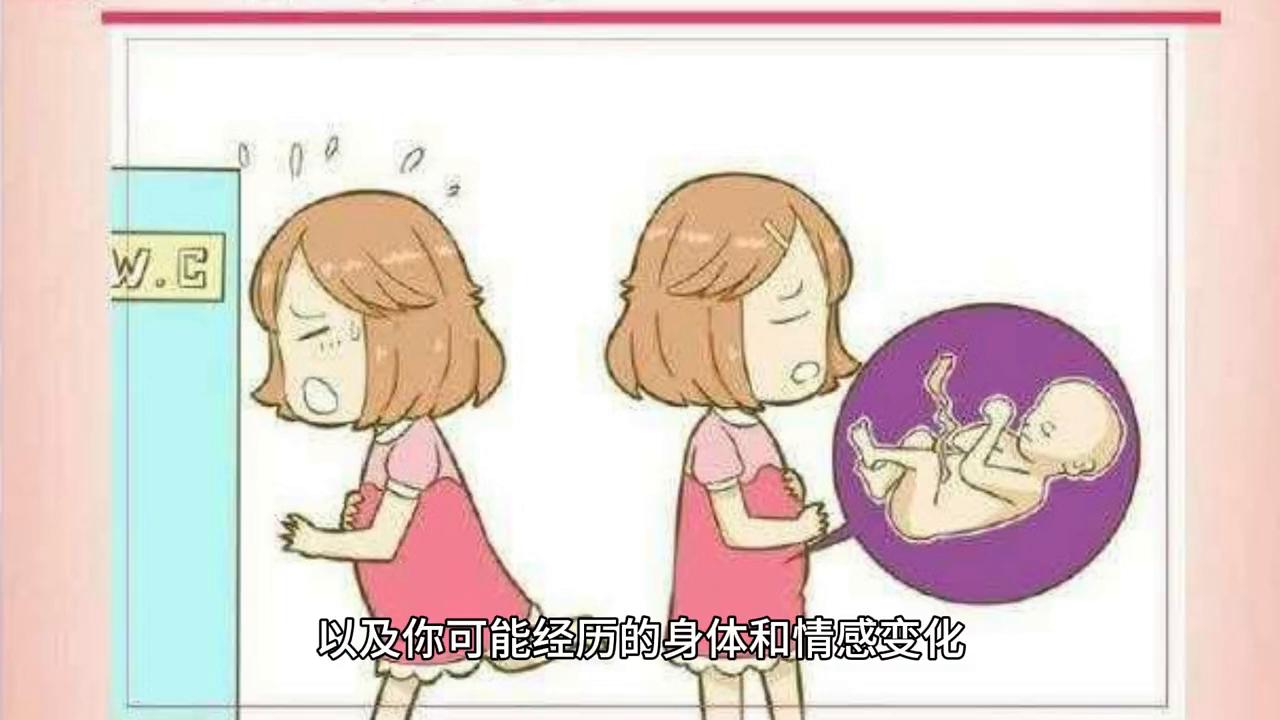 孕期各个阶段需要注意什么,心理变化的五个阶段