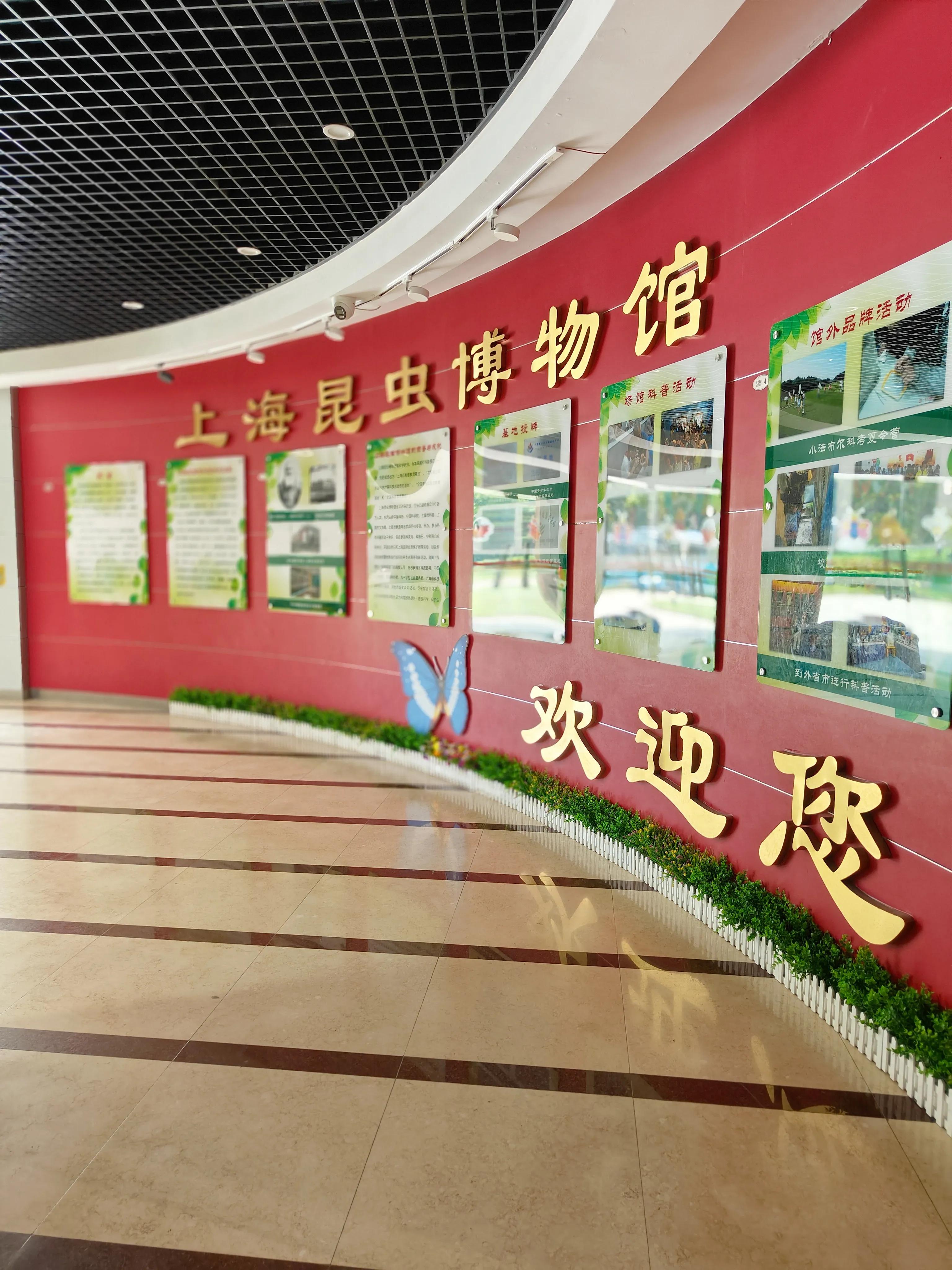 神兽暑假去哪玩,神兽暑假生活