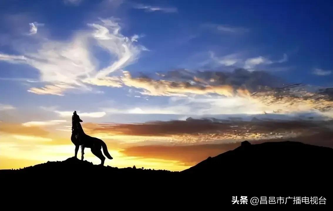 赵氏保护神图腾图片,传统文化-中国各姓氏专属图腾