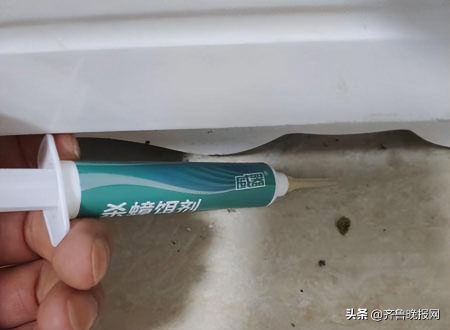 家里有蟑螂怎么办小妙招,生活小妙招小视频家庭怎么驱蟑螂