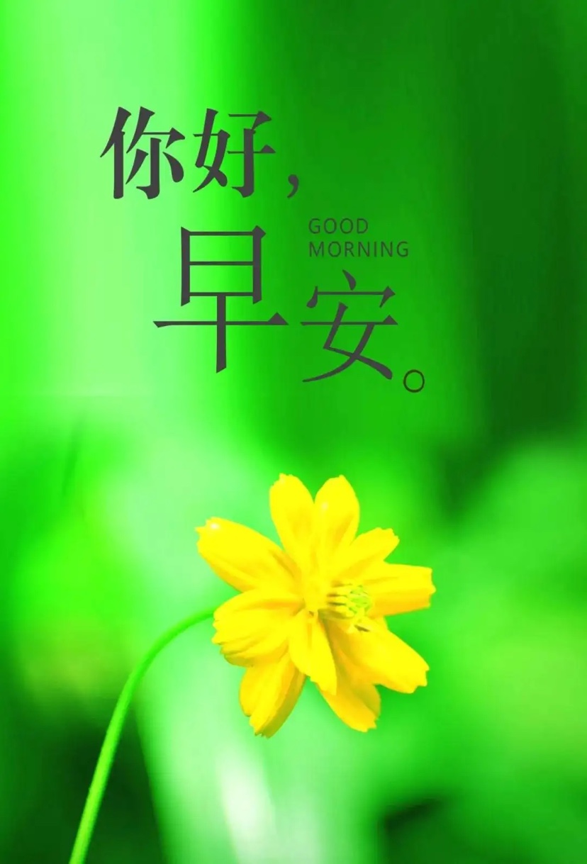 早安心语生活短句子,早安心语生活最难走的路