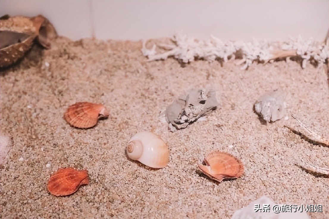 夏日海边浪漫迷人,滨城风光秀丽浪漫气息爆表