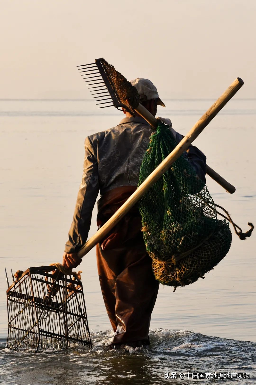辽宁哪个地方的海鲜最好,辽宁各市都有啥海鲜