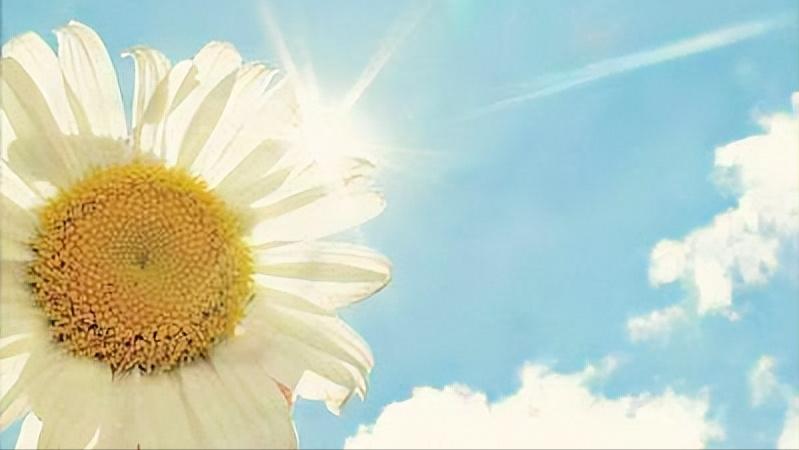 面对讨厌的人不想说话很烦,面对不喜欢的人内心是抵触的