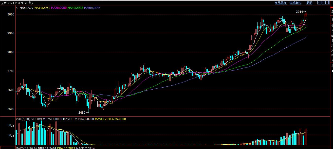 王月松期货特训营视频,期货冠军王月松直播
