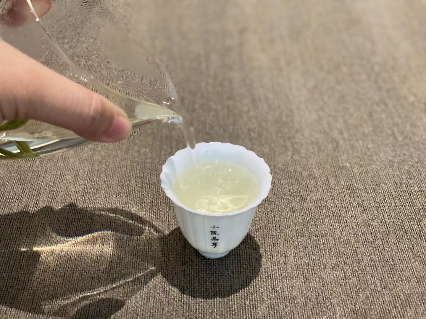 劣质的白茶有什么特征呢,别再喝劣质白茶了正宗福鼎白茶