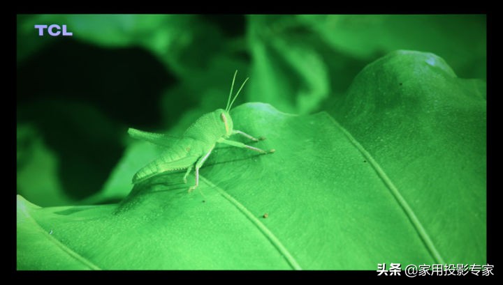 优派q20pro测评,优派q20价格