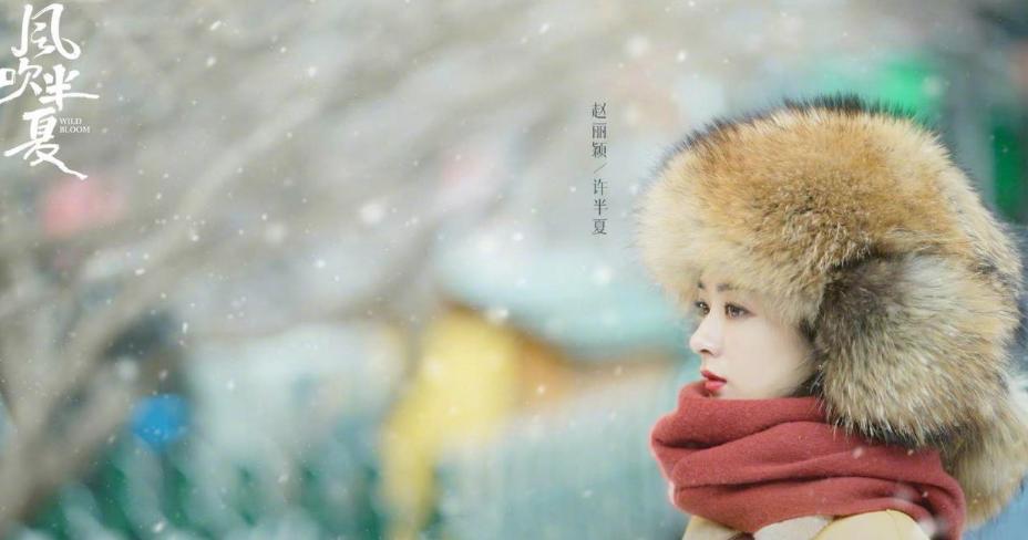 央视新闻评风吹半夏,央视台评价《风吹半夏》