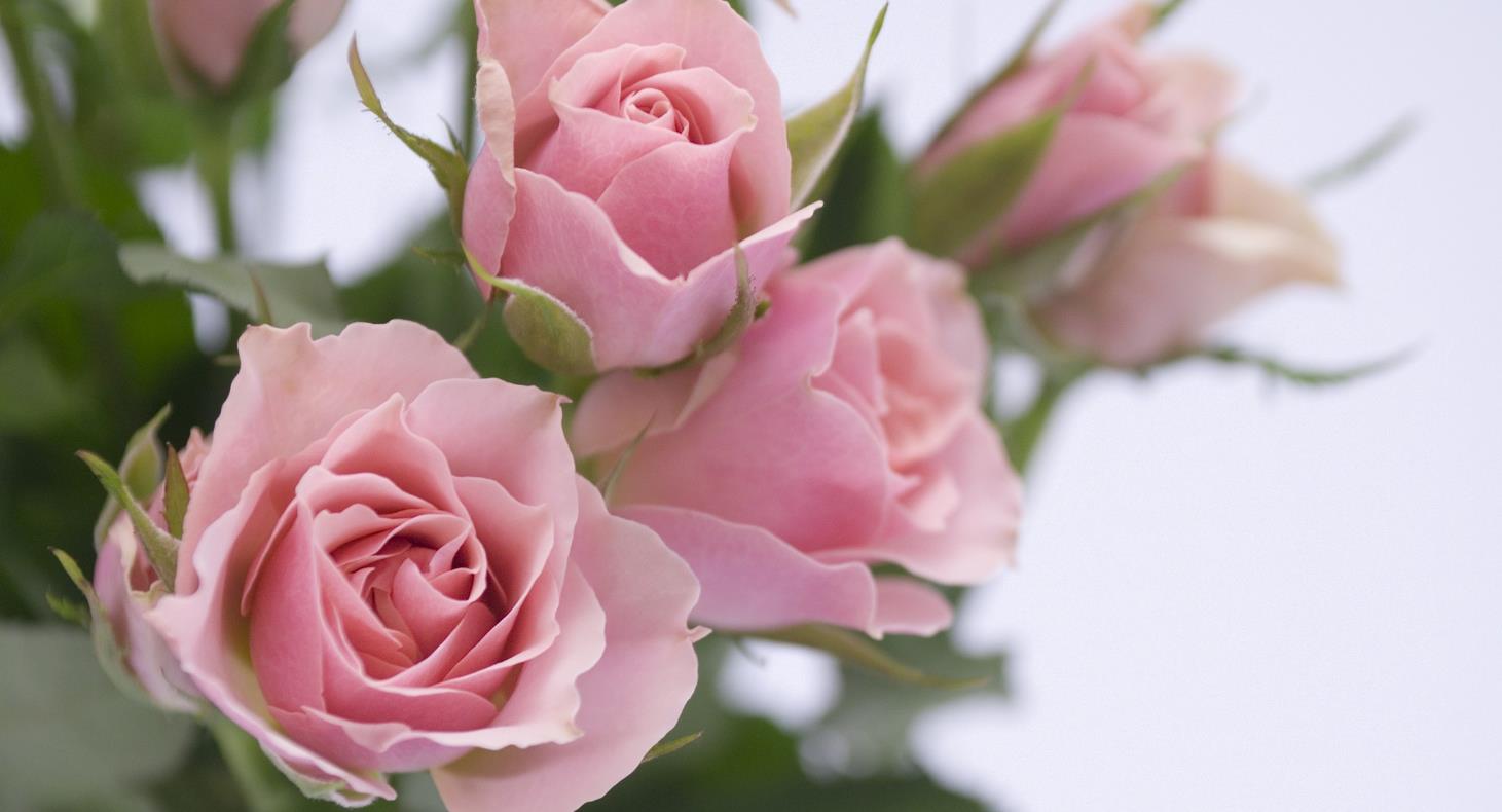 妻子出差老公照顾保姆,妻子出差丈夫照顾妹妹视频