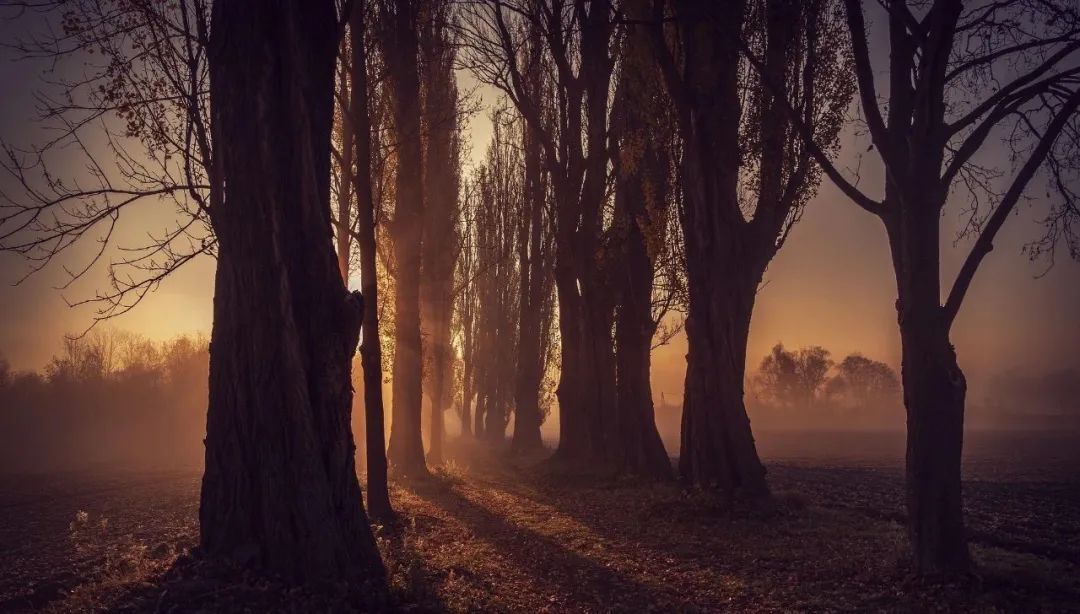 前期铺垫营销模式,线上线下结合销售模式案例