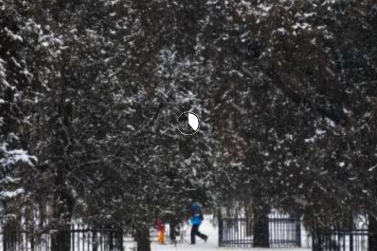 用4g容易上热门,4g宽带靠谱吗