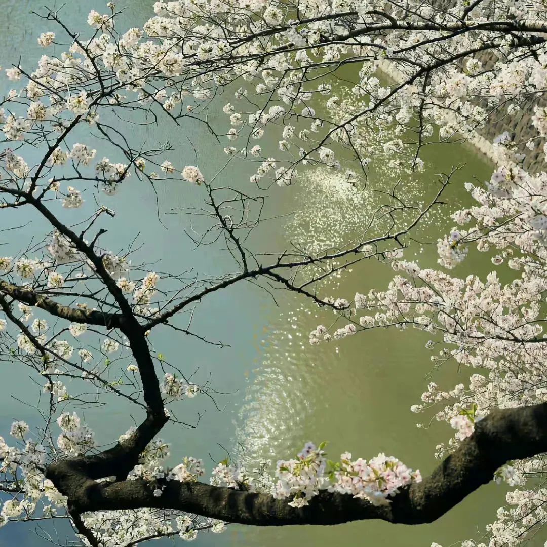 微信朋友圈动态背景图,微信朋友圈背景图暴富