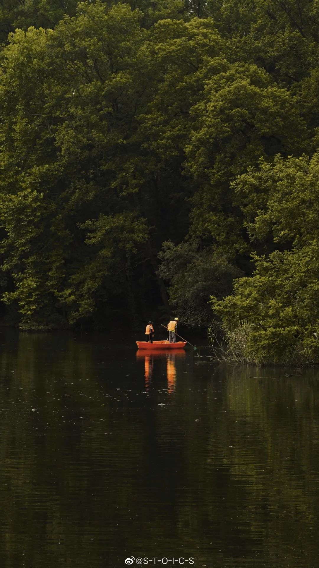扬州大学吴艳婷:《到有海的地方去》|《青春》(第八届“青春文学奖”获奖作品专号)