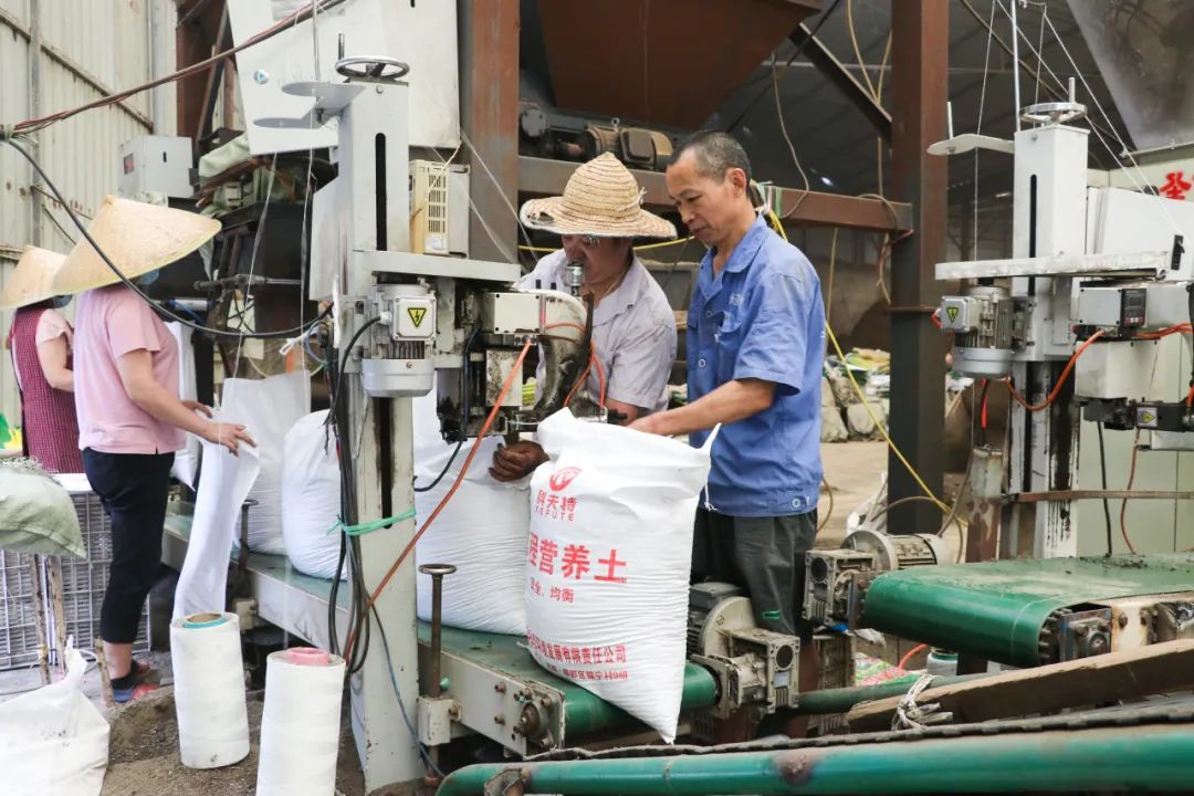 园林垃圾怎么变成肥料,园林绿化垃圾与花卉绿植